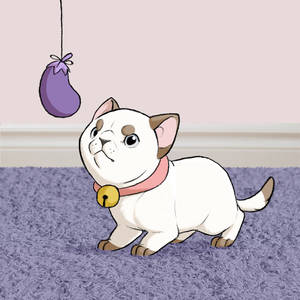 Puppycat