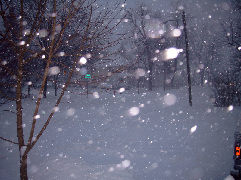 Snow Storm 1