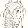 Mare Portrait Lineart