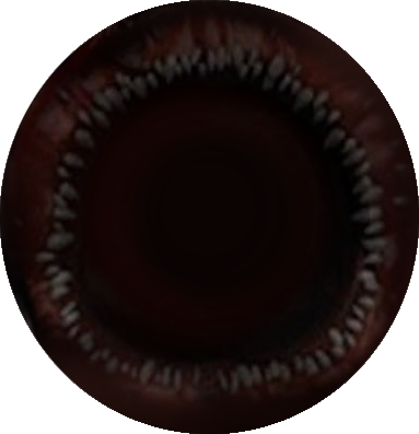 Beast Face (Sodor Fallout) by convbobcat on DeviantArt