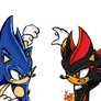 Sonic vs Shadow