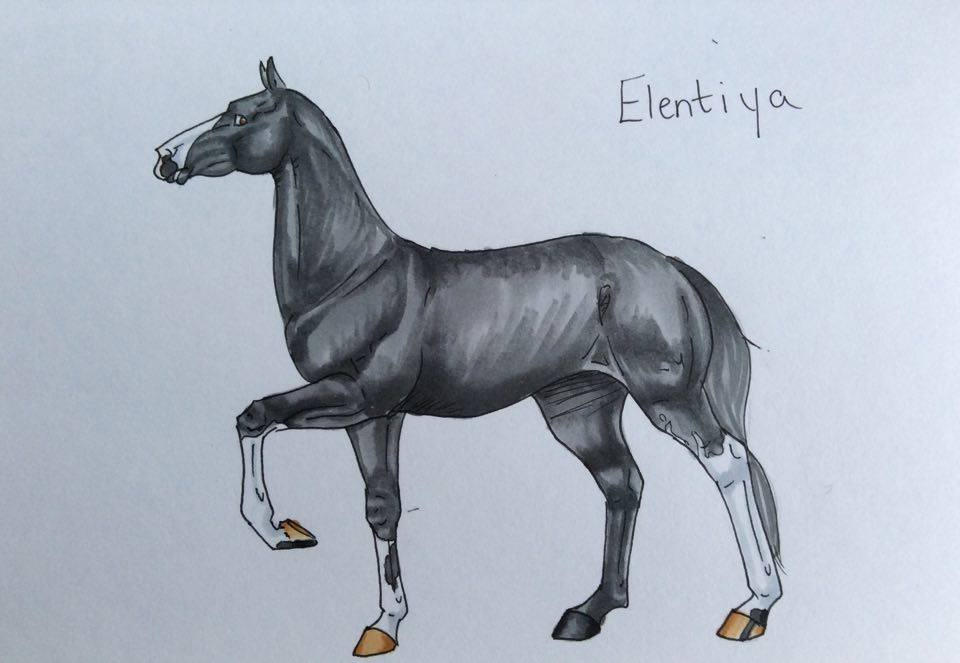 Registered mares (ID 1-199) by Zlesdin on DeviantArt