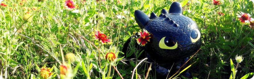 Toothless Bunny Rabbit Toothless by GnomeBunny on DeviantArt