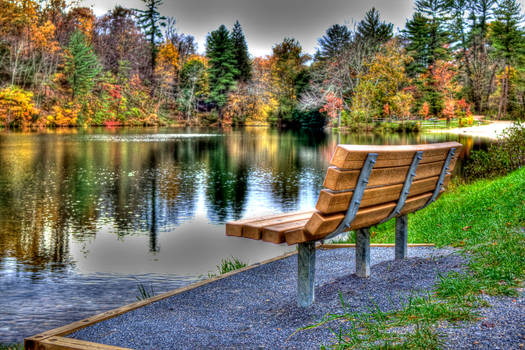 Lonely Bench