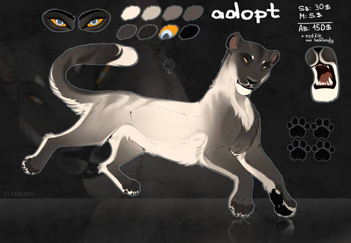 adopt auction