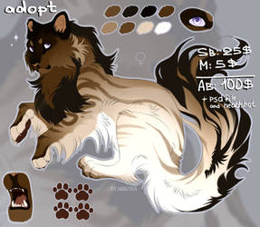 Cat (adopt auction)