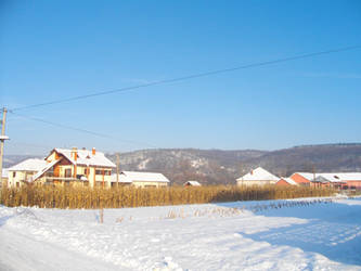 Cornfield, Snow and Mountains