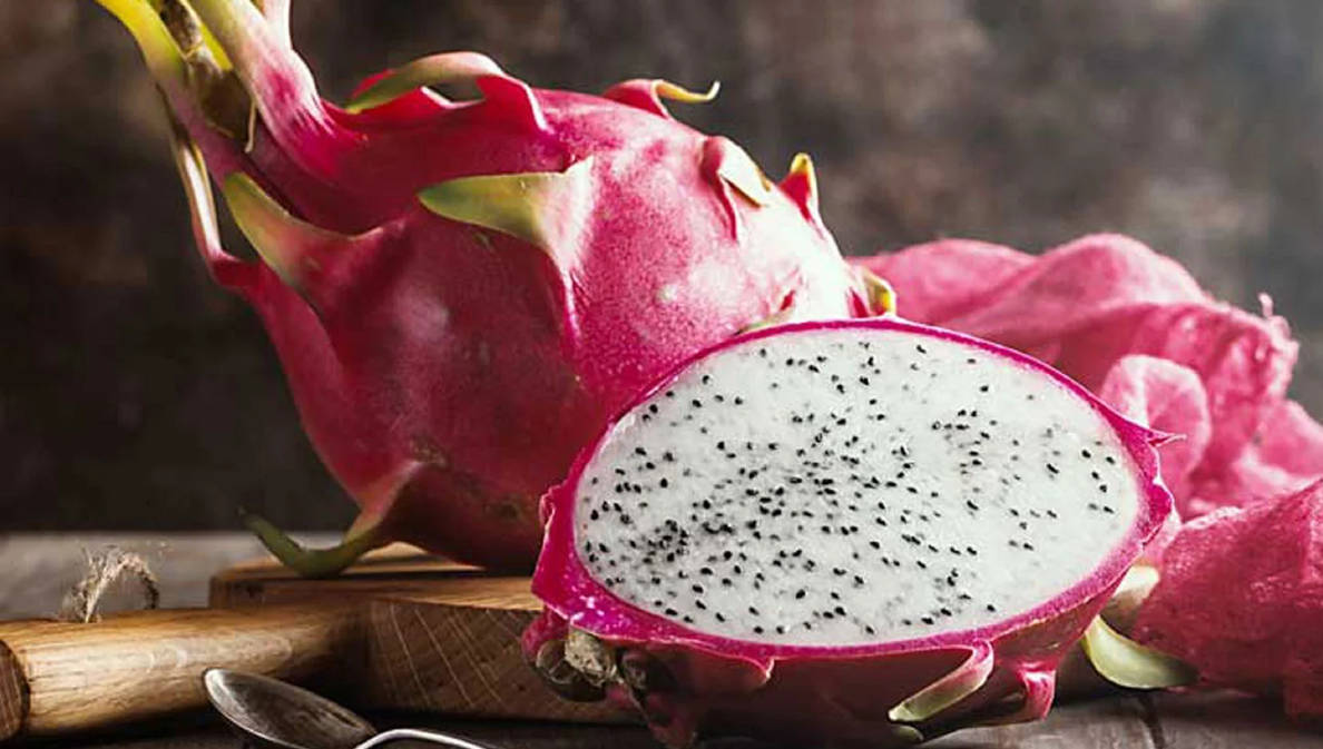 What Does Dragon Fruit Taste Like by Thefoodxp on DeviantArt