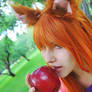 Spice and Wolf - Horo 1