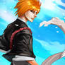 Bleach: Ichigo Kurosaki