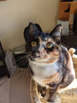My pretty girl