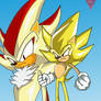 Super Shadow vs Super Sonic