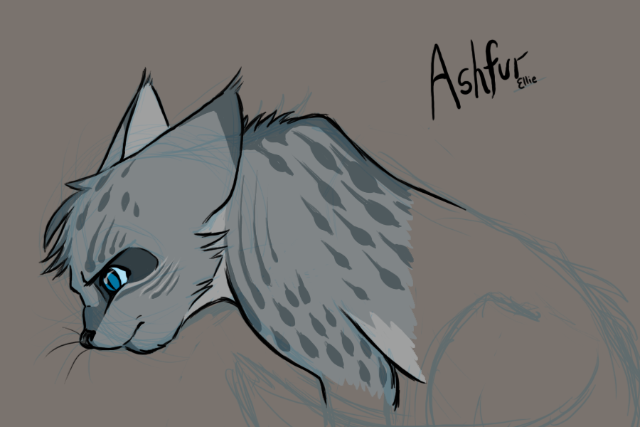 Upset Ashfur