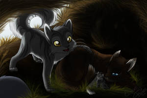 Graystripe in Riverclan