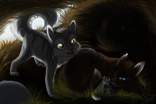 Graystripe in Riverclan