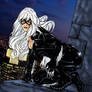 Black Cat 1