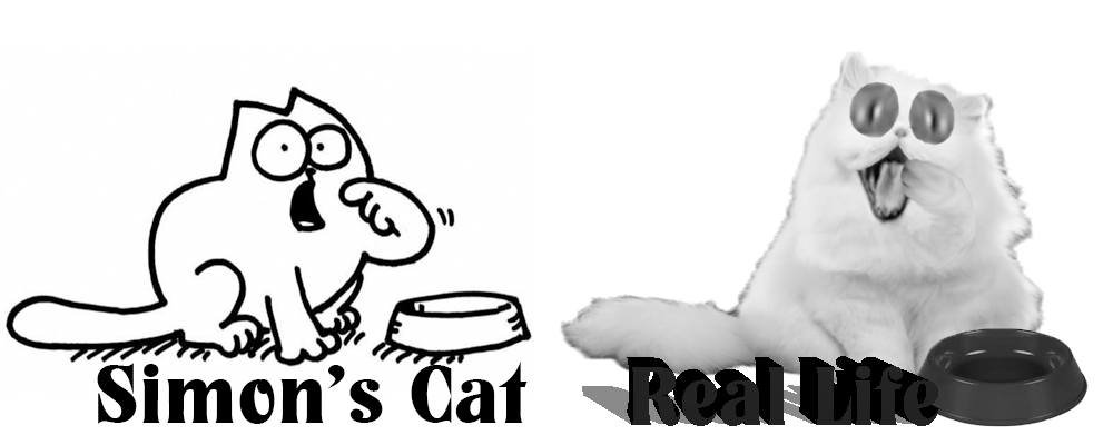 Simon's cat deals in real life