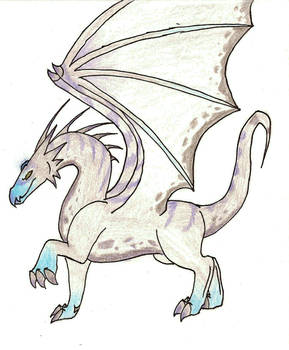 Unnamed Dragon