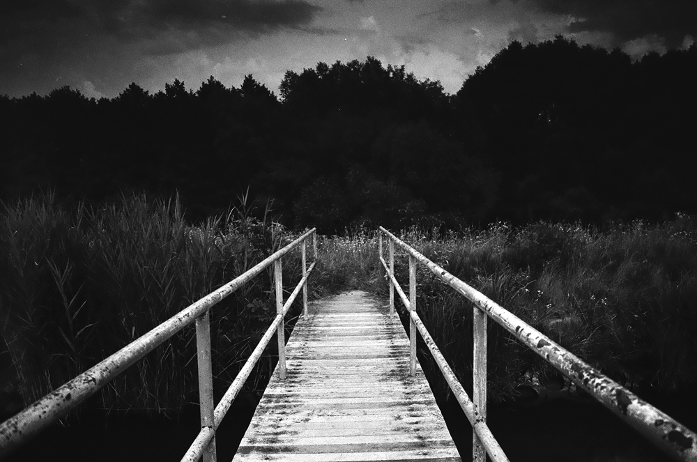 a pier towards the woods