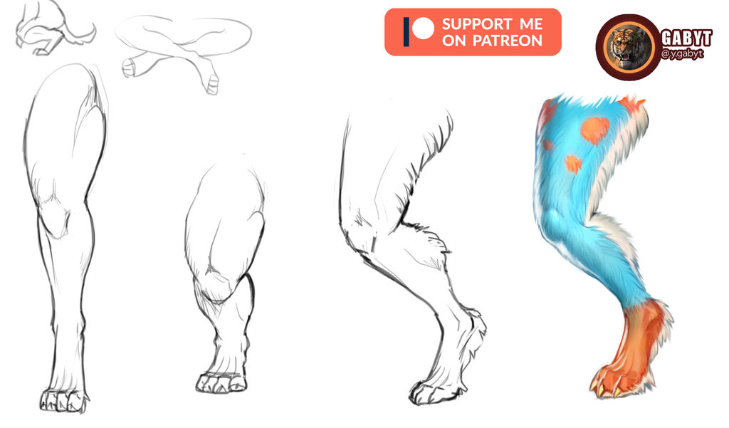 Leg Turorial Furry Leg Tutorial by Gaby-T on DeviantArt