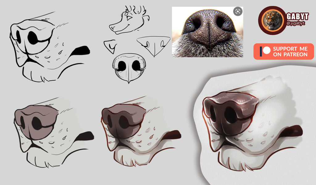 Snout Tutorial by Gaby-T on DeviantArt