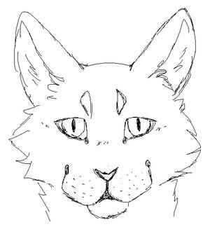 Cat Head Sketch