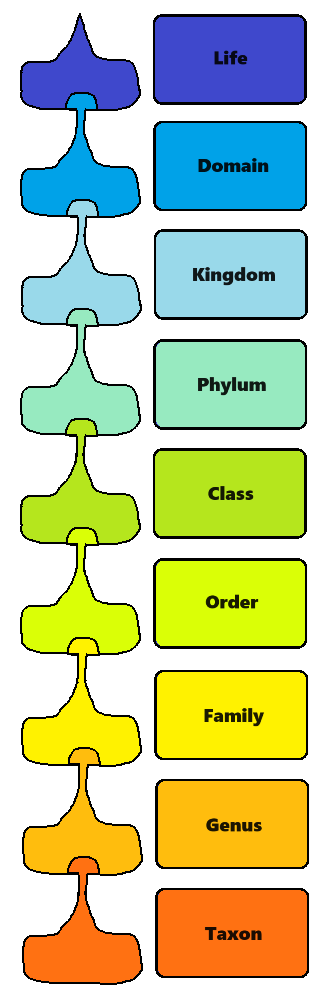Linnaean Taxonomy by Buka2000 on DeviantArt