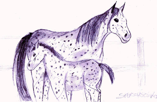 horses i made  this with pen