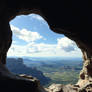 From a window 300 million years ago