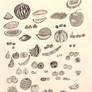 Fruit Illustrations, Sketchbook
