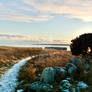 Path to the sea