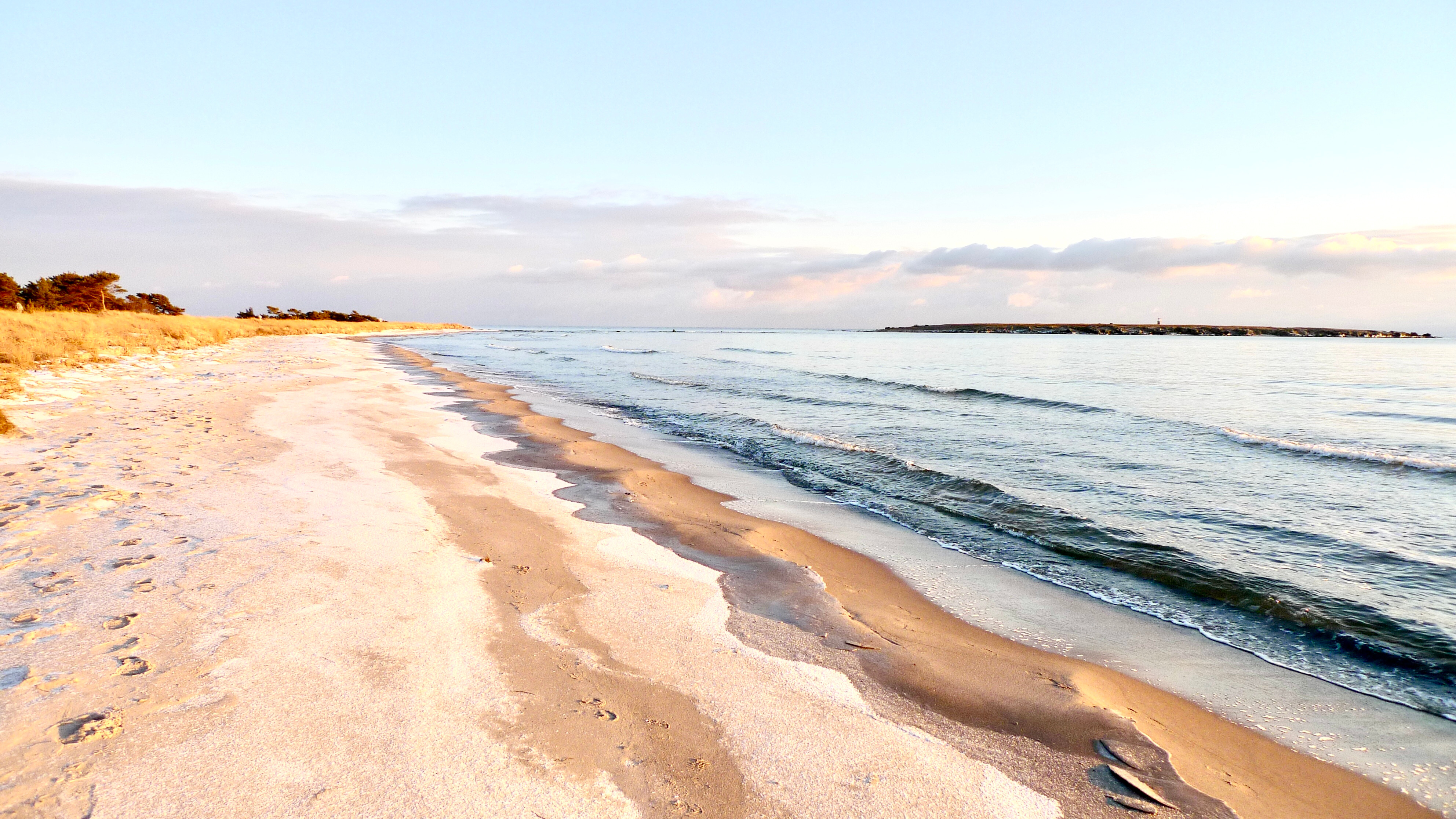 Beautiful winter waves