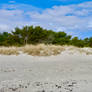 Soft beach