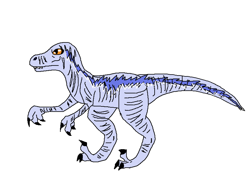 concept for Blue the raptor by hayyifas on DeviantArt
