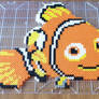 Finding Nemo!