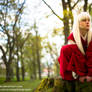 Inuyasha 5