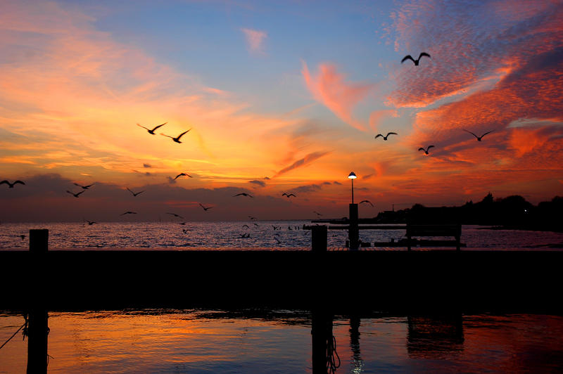 If Youre A Bird Im A Bird By Sarahpaul On DeviantArt If youre a bird im a bird by sarahpaul on deviantart