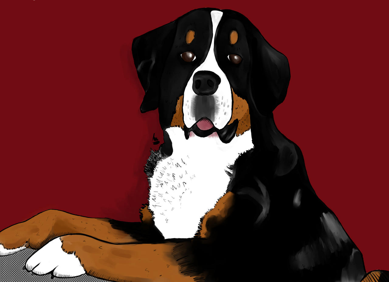 Rottweiler by S0Adrian on DeviantArt