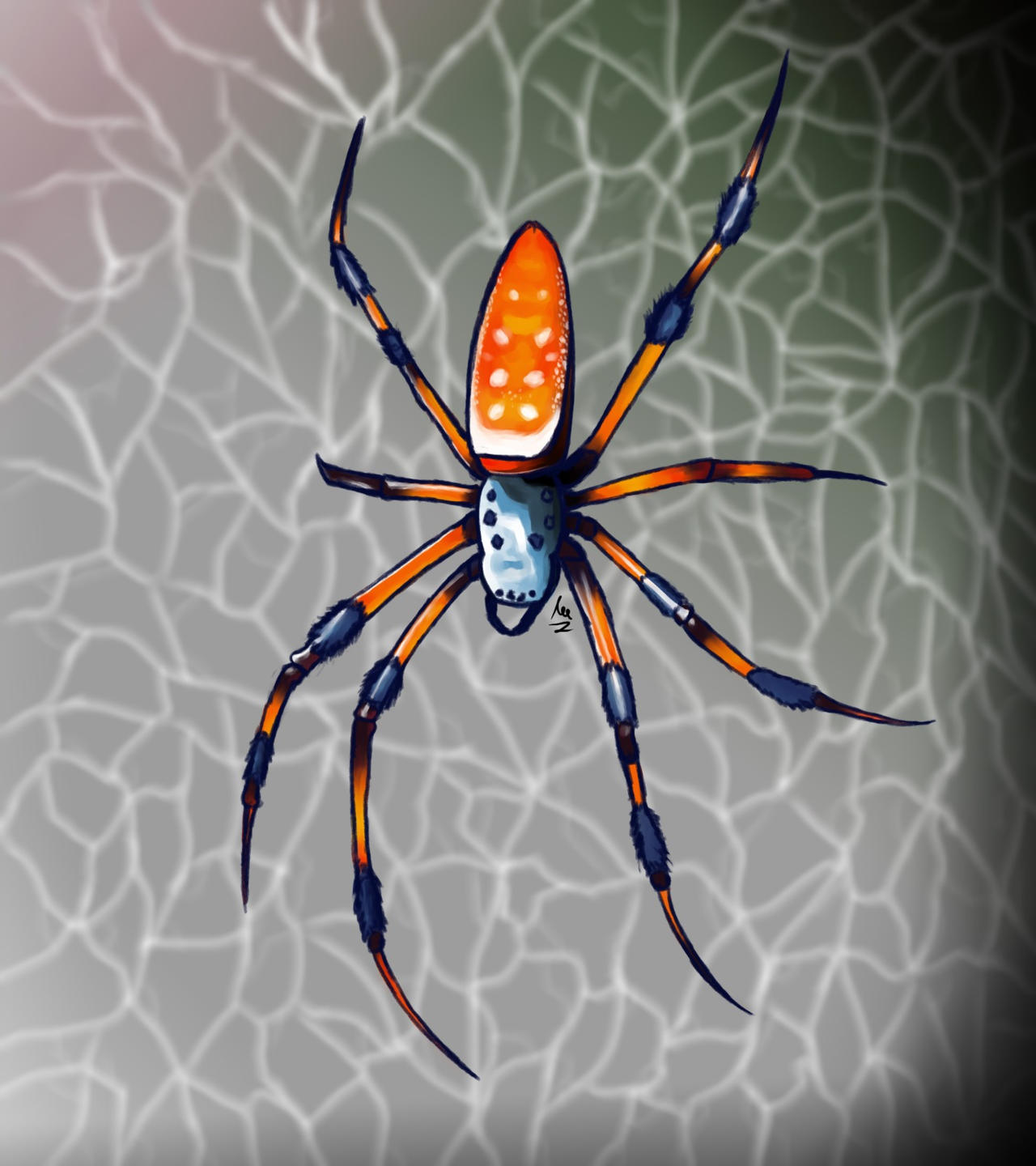 Spider Insect Deviantart Spider by S0Adrian on DeviantArt