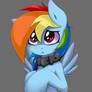 Dashie as a pet?