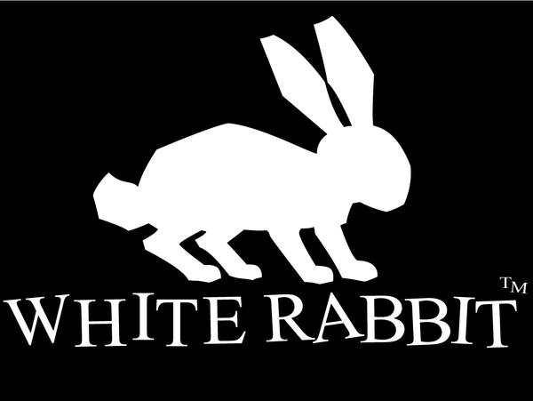 white rabbit by Spidermancrd on DeviantArt