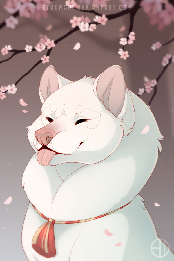 - Shiro by Ethamari on DeviantArt