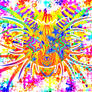 COLORS COLORS COLORS