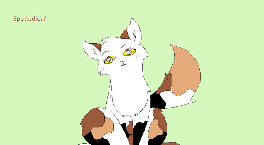 Spottedleaf Drawing Warriors: Spottedleaf by XWaRrIoRsXAuToBoTsX on DeviantArt