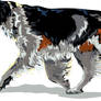 Borzoi Trotting Regal Prince