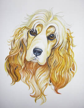 Cocker Spaniel Tutorial 7