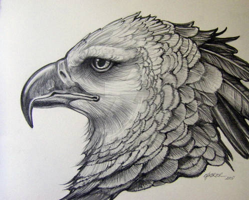 Harpy Eagle Pencil Rendering1