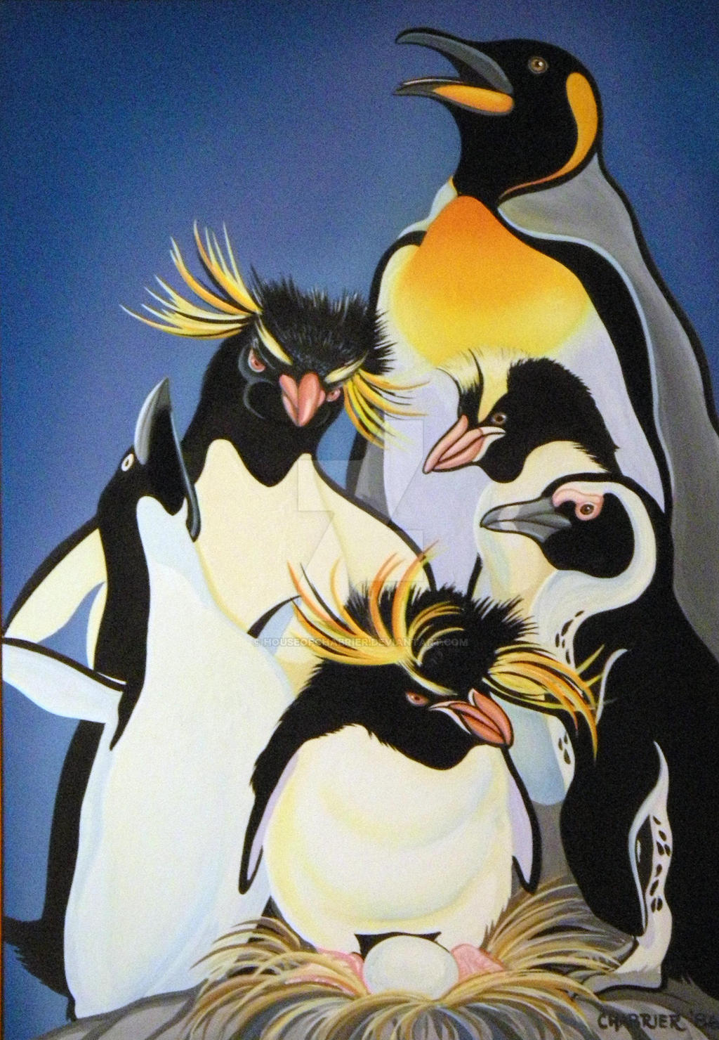 Penguins 3