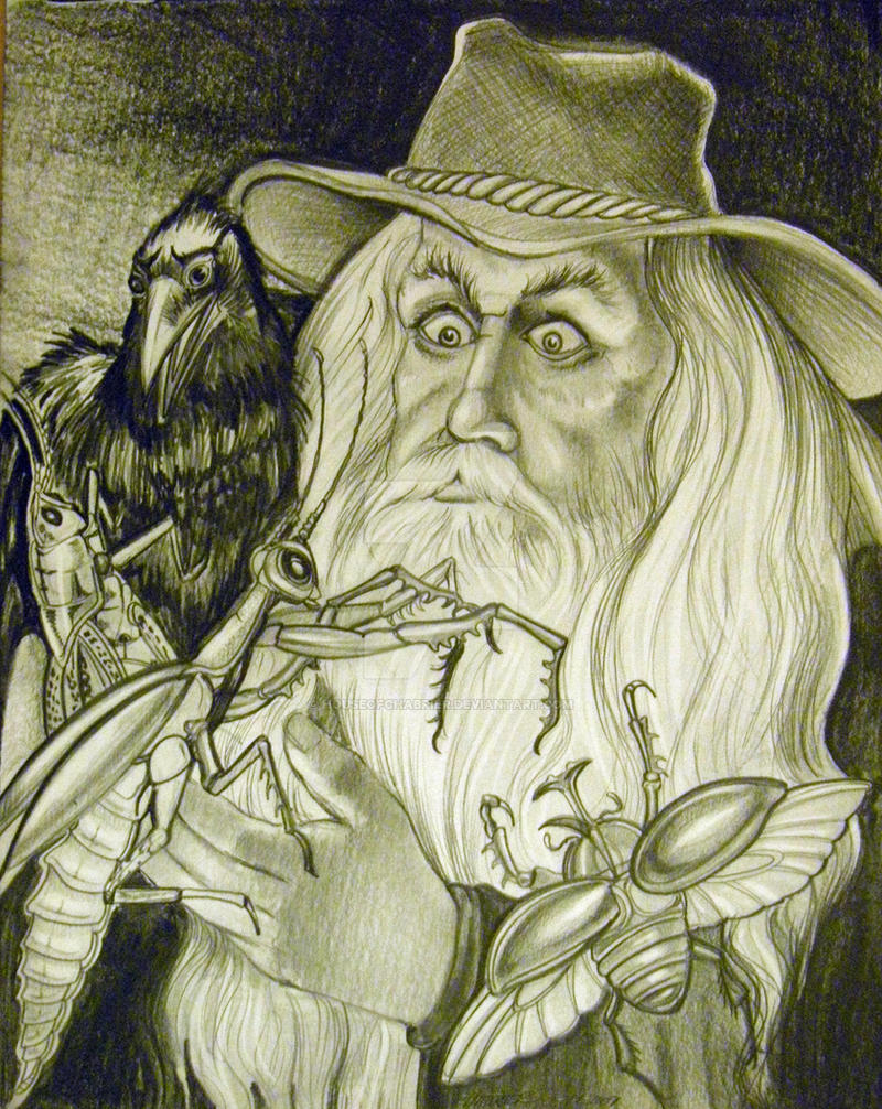 Wizard and bugs by HouseofChabrier on DeviantArt