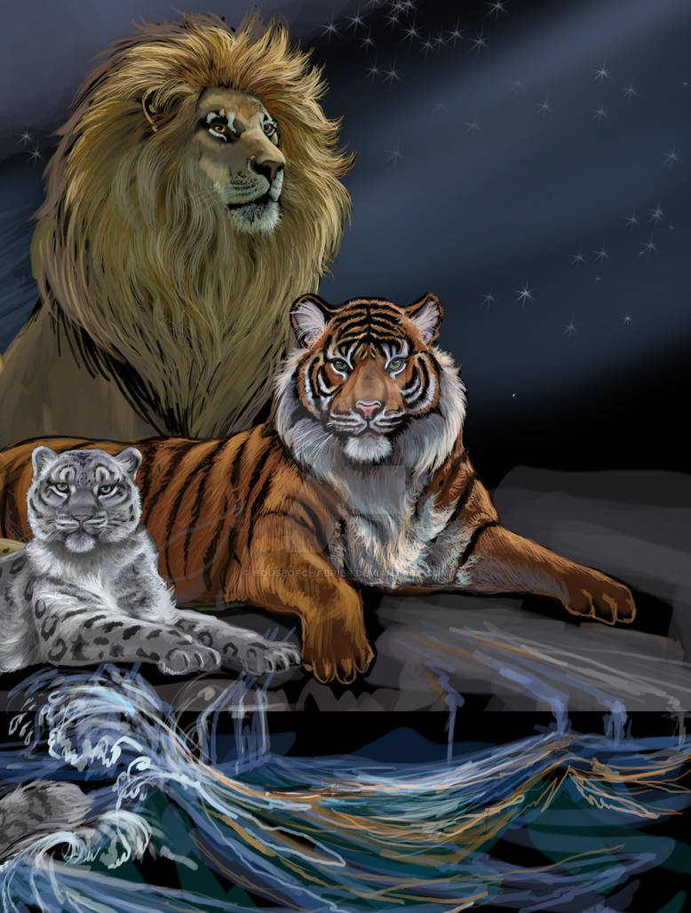 Левый тигр. Туранский тигр против берберийского Льва. Лев и тигр. Лев и тигрица. Тигр и Лев вместе.